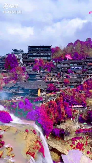 沪江开心词场